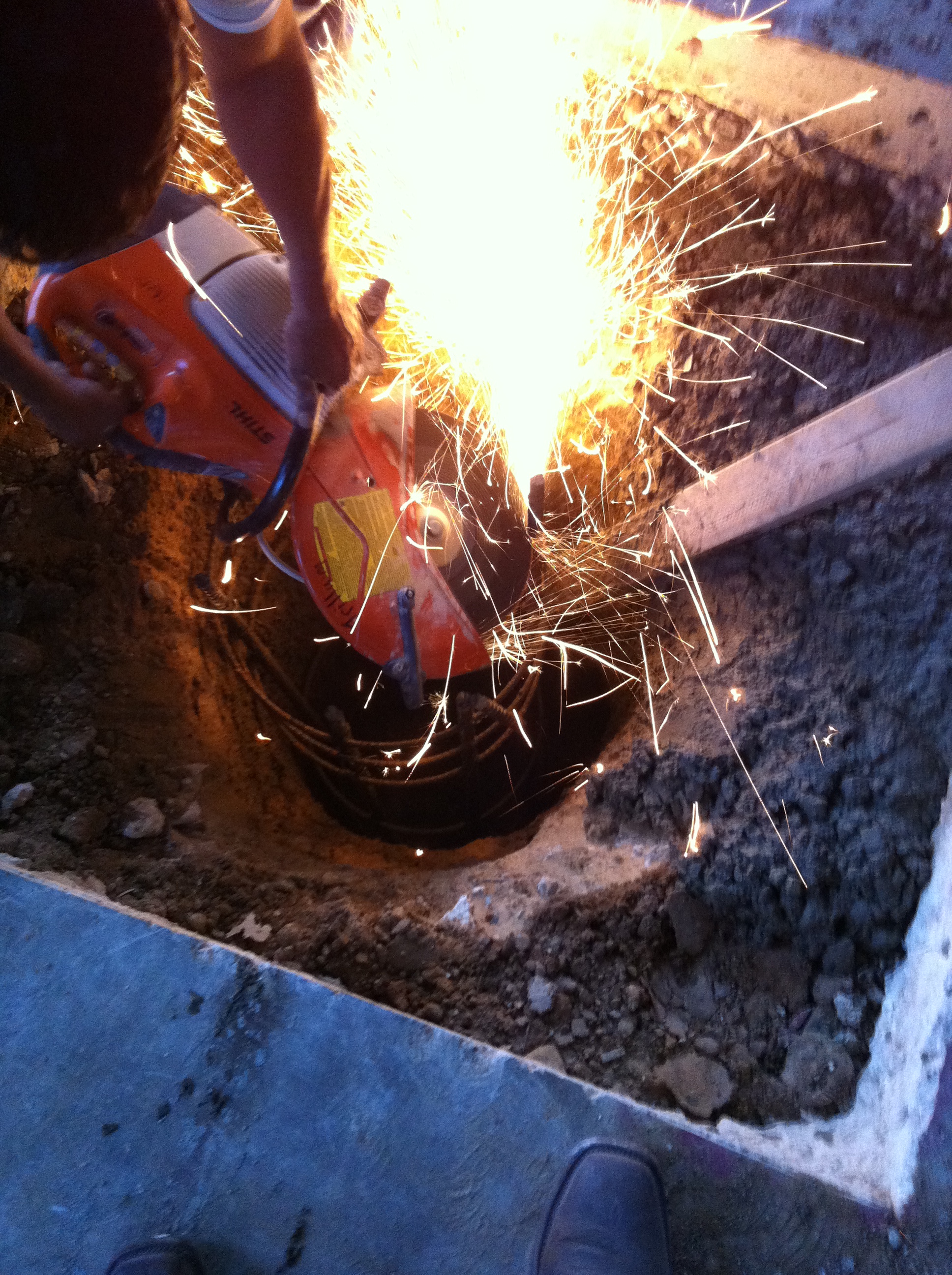 Trillium project