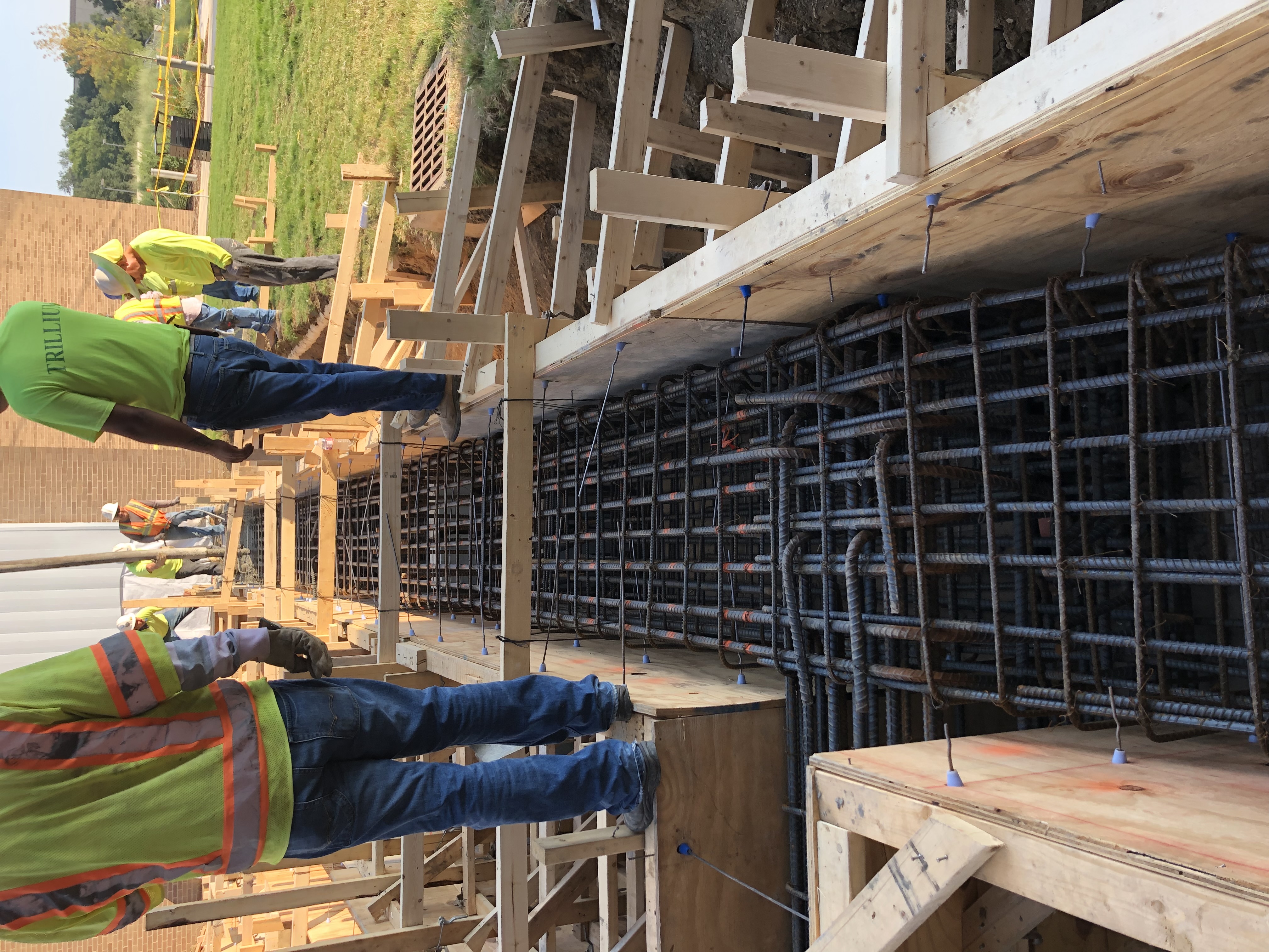 Trillium project