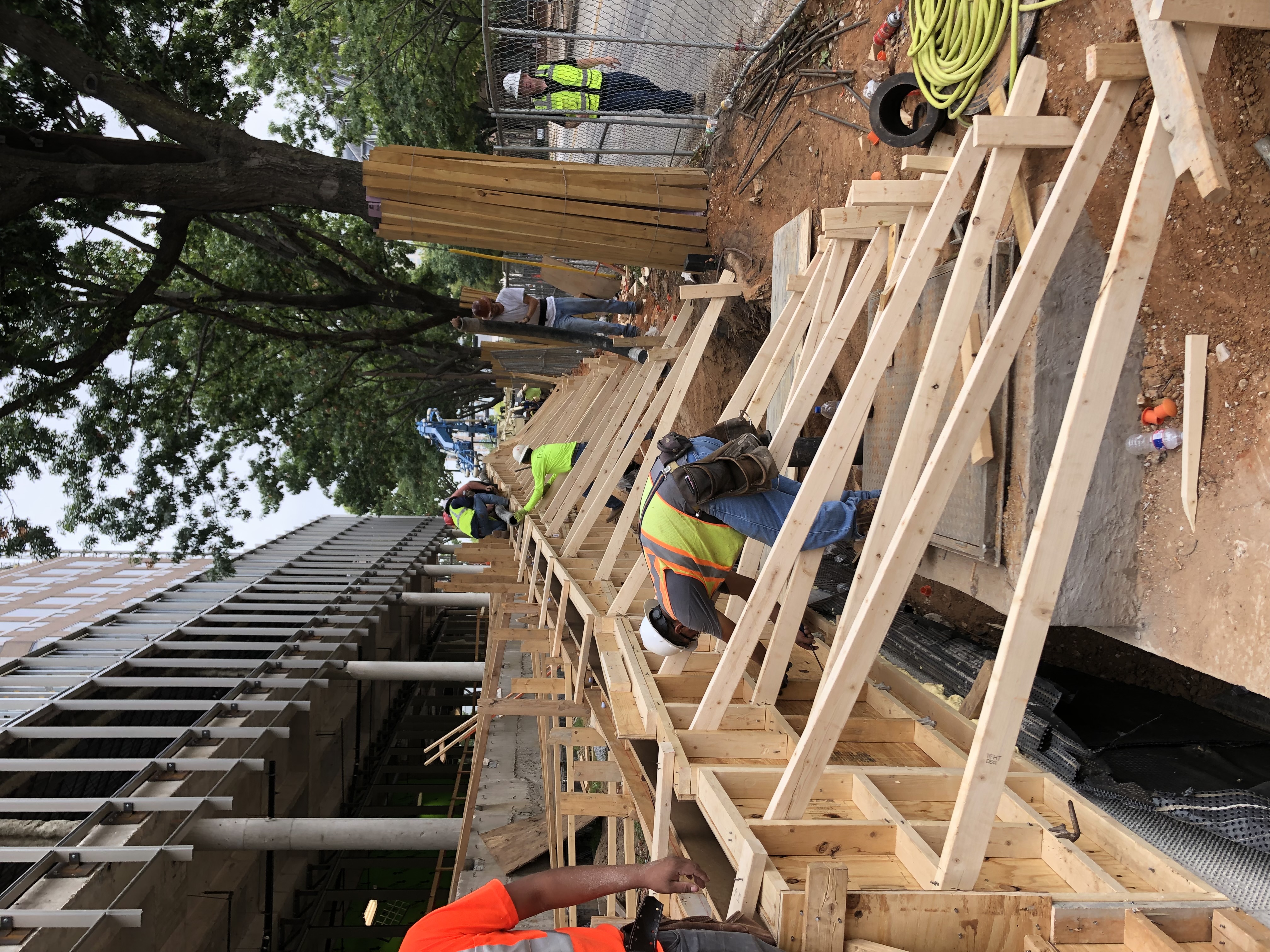Trillium project